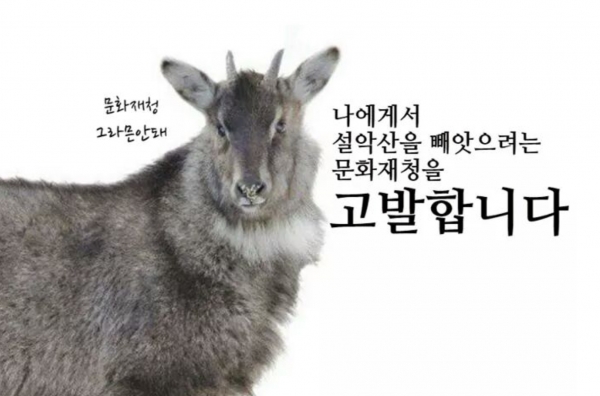 케이블에 의한 폭력, 이대로 설악산을 포기할 순 없습니다 [사진=녹섹연합]