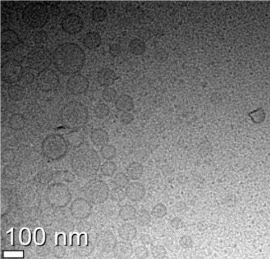 코스맥스가 2013년 8월 23일 특허 출원한 ‘나노 에멀젼 제조방법(Preparing methods nano emulsion)’의 대표도면. 이 특허는 2015년 3월 4일 공개됐으며 2015년 6월 11일 등록(등록번호 제10-1529480호)됐다. 사진=키프리스 캡처