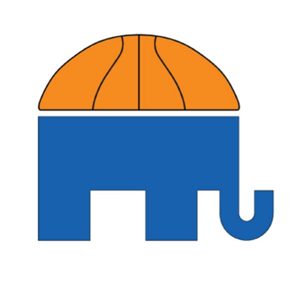 전자랜드가 처음으로 코끼리를 상표로 선보인 것은 2011년 7월 4일이었다. 이날 출원(출원번호 제4120110019403호)해 2012년 12월 27일 등록(등록번호 제410247869호)을 받았는데 코끼리 머리 부분에 농구공 반쪽이 올라간 모양이다. 그림=키프리스 캡처