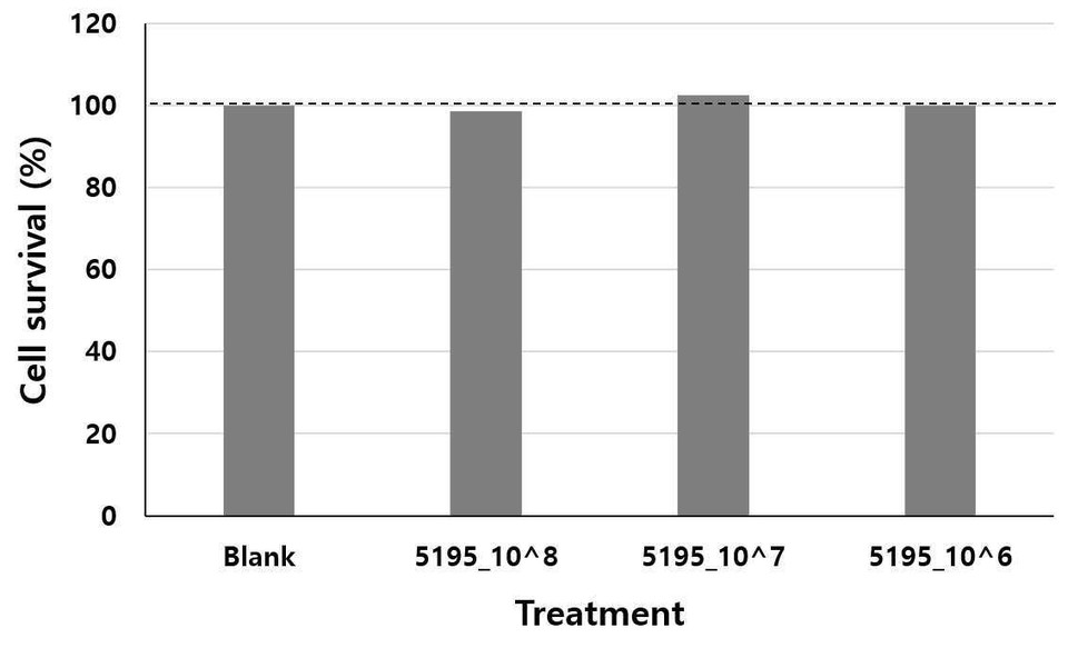 롯데칠성음료가 2019년 11월 29일 출원해 2021년 6월 2일 등록(등록번호 제102263698호)등 받은 ‘아토피 피부염 완화 또는 개선 효과를 가지는 락토바실러스 플랜타럼 LRCC5195 균주 및 이소말토올리고당 복합체’ 특허의 대표 도면. 이 발명의 락토바실러스 플랜타럼 LRCC5195 사균체의 Raw 264.7 세포에 대한 농도별 세포독성을 확인한 결과를 나타낸 그래프. 그림=키프리스 캡처