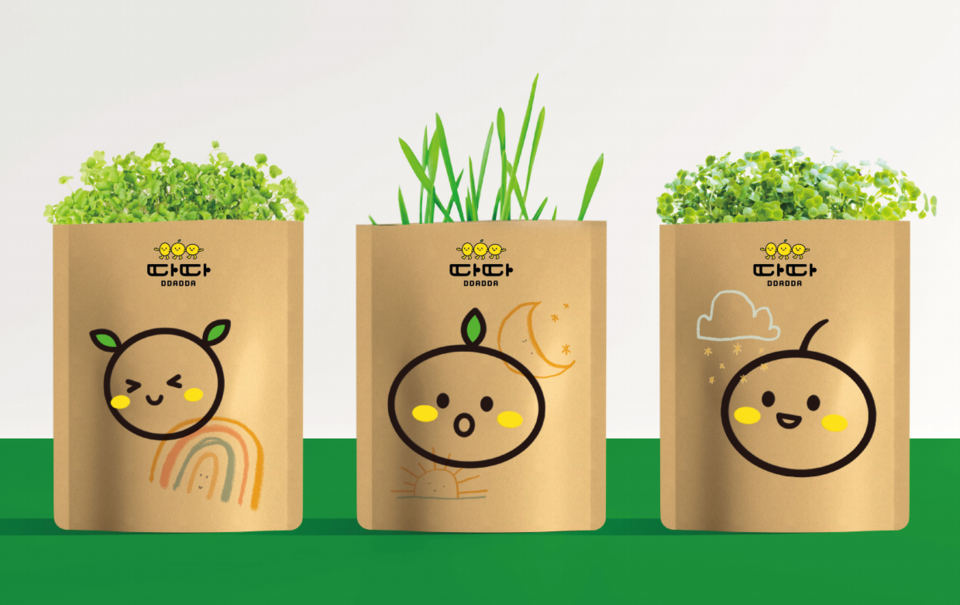농업회사법인 ㈜홍담의 브랜드 ‘따따(DDADDA)’에서 최근 반려식물 키드(Kit)를 출시했다고 27일 밝혔다. 사진=홍담