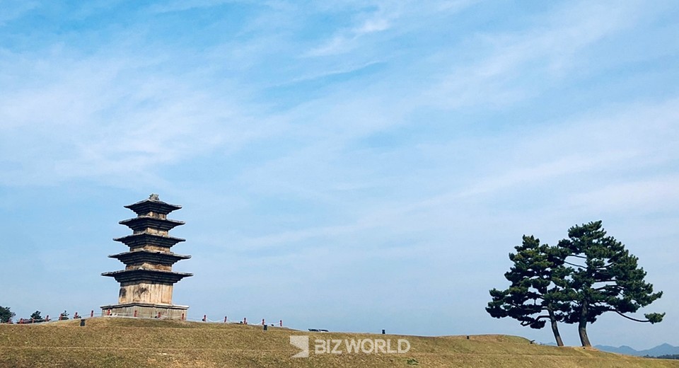 백제왕궁 터의 5층석탑과 소나무. 사진=손진석 기자