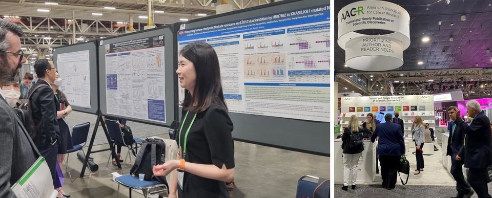 국내 다수 제약바이오 기업들이 '미국암학회' 연례회의에서 다양한 항암제 파이프라인의 연구 성과를 발표했다. 사진=한미약품