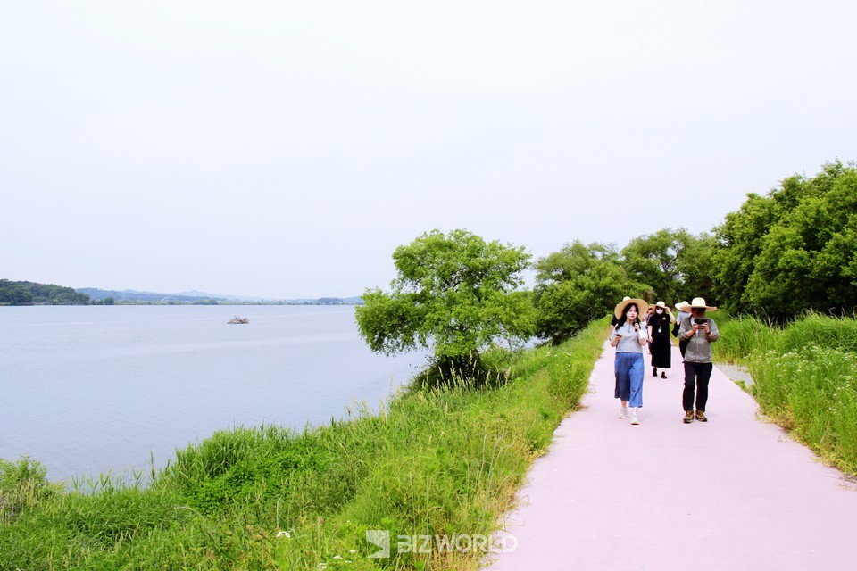 용안생태습지에 조성된 금강변 산책길을 걷고 있는 관광객들. 사진=손진석 기자