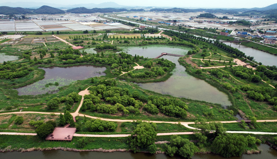 용안생태습지 전경. 드론=조용식