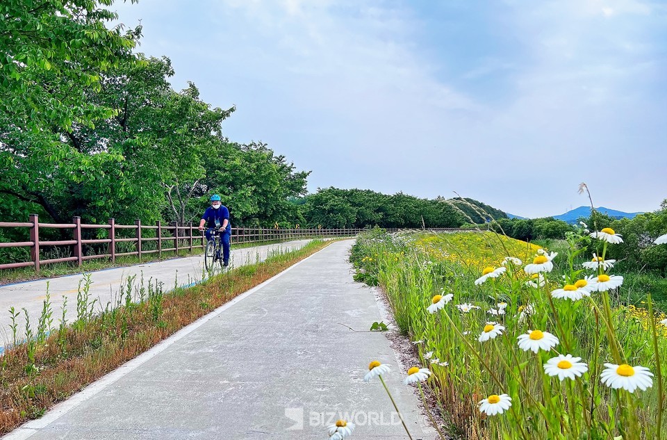 금강 변에 조성된 자전거길 전경. 사진=손진석 기자