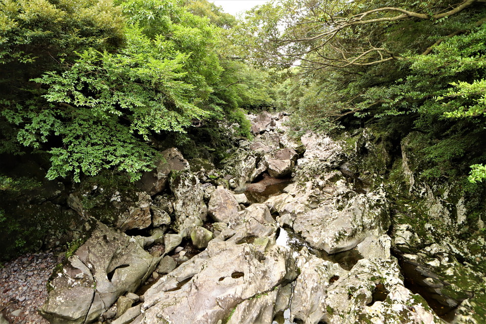 제주도 머체왓숲길. 사진=제주관광공사