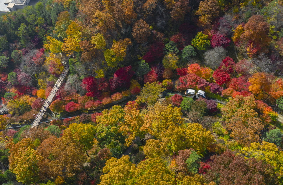 화담숲이 오는 10월 중순에 펼쳐질 ‘가을 단풍축제’를 앞두고 14일 오후 1시부터 홈페이지를 통해 사전예약을 실시한다. 사진=곤지암리조트
