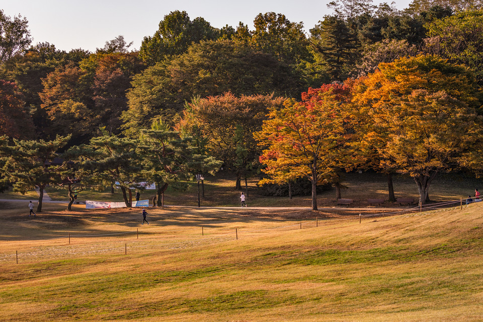 올림픽공원은 단풍이 넓은 잔디밭과 어우러져 더 색다른 모습으로 다가온다. 사진=서울관광재단
