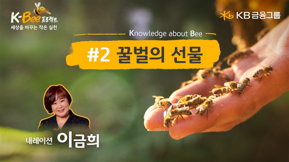 KB금융그룹은 11일 농업인의 날을 맞아 꿀벌 생태계 회복을 위한 'K-Bee 프로젝트'의 일환으로 '꿀벌의 선물' 영상을 공개했다. 사진=KB금융그룹