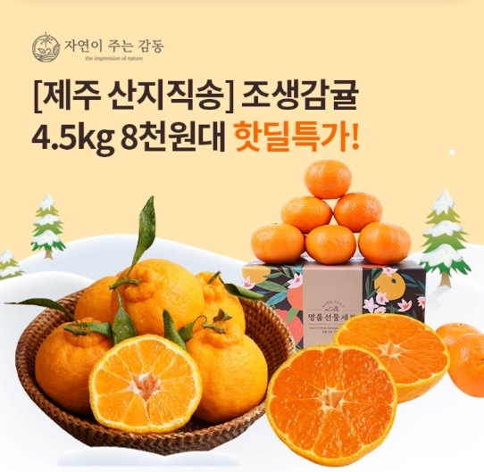 오케이(OK)캐시백 '오퀴즈' 12월 15일 오전 11시 핫딜특가 새콤달콤 감귤 제주 산지직송 자연이 주는 감동. 사진=오퀴즈