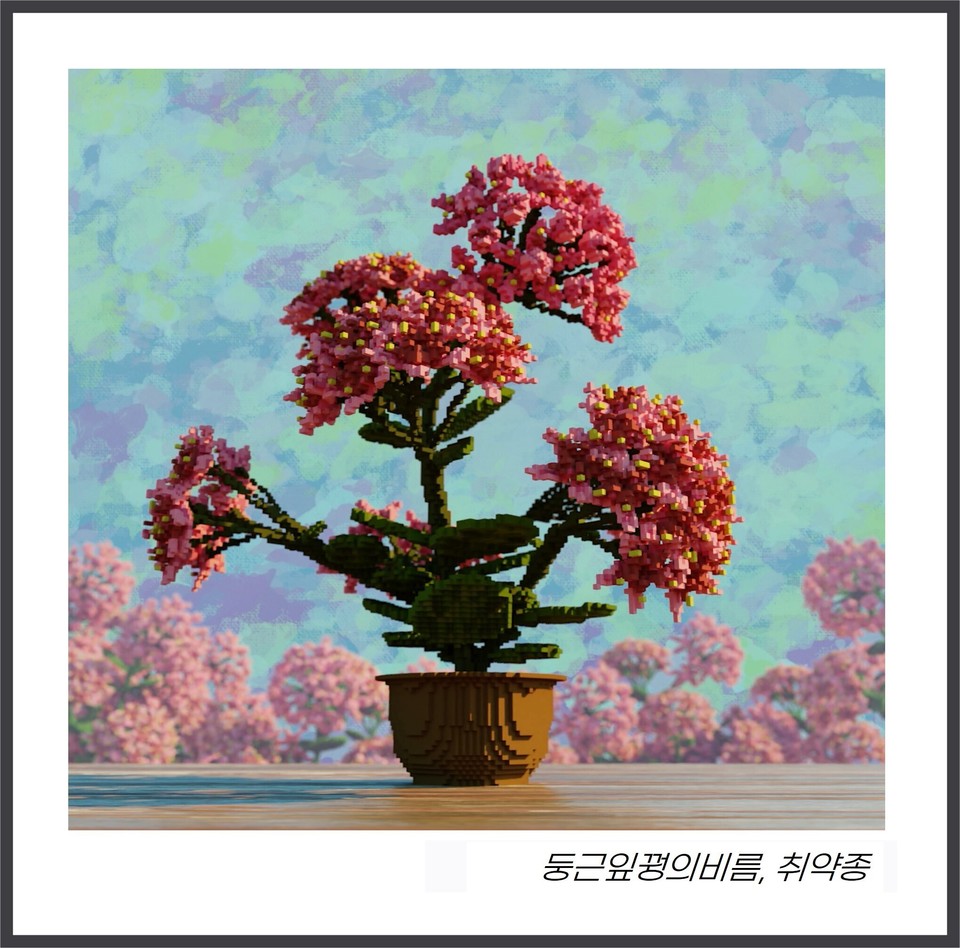 두나무가 멸종 위기 식물 보전을 위해 'NFT'를 발행한다. 사진=두나무