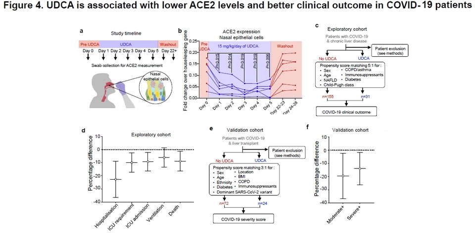 우리나라의 코로나19 예방 심리에 관심이 높아지는 가운데 'UDCA' 코로나19 예방 효과가 다시 주목받고 있다. 사진=대웅제약