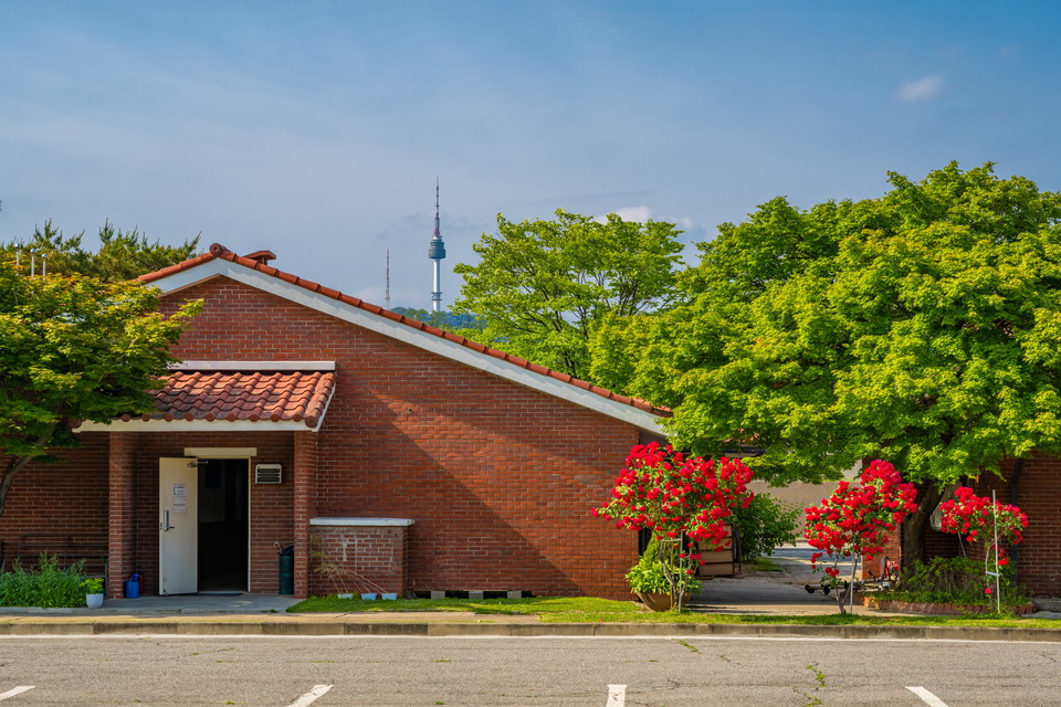 서울의 새로운 명소로 거듭난 용산공원 부분개방부지. 사진=서울관광재단
