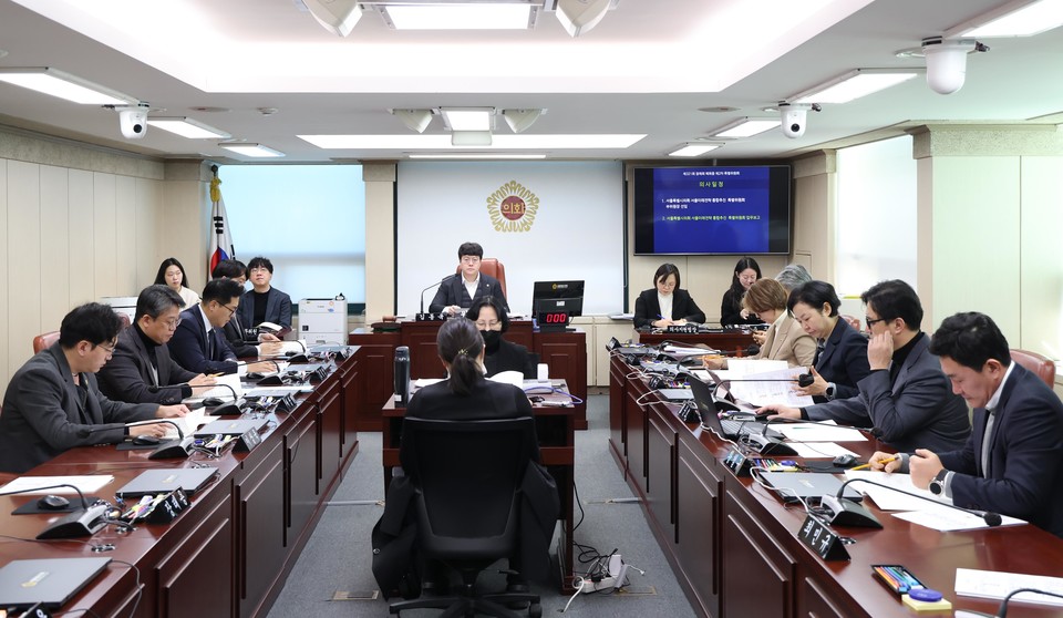서울특별시의회 서울미래전략 통합추진 특별위원회 제2차 회의를 진행하고 있다. 사진=서울시의회