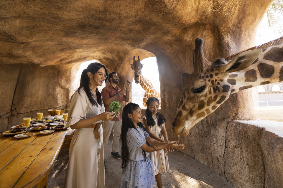 관람객이 에미레이트 파크 동물원에서 기린 먹이주기 체험을 하고 있다. 사진=아비다비 관광청