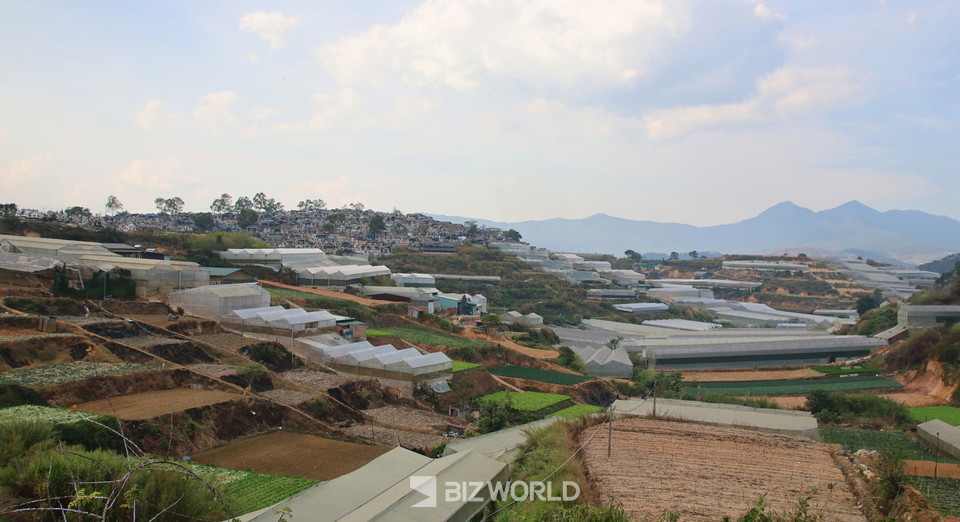 달랏에 들어서면 만나는 한국식 비닐하우스 농장들. 사진=손진석 기자