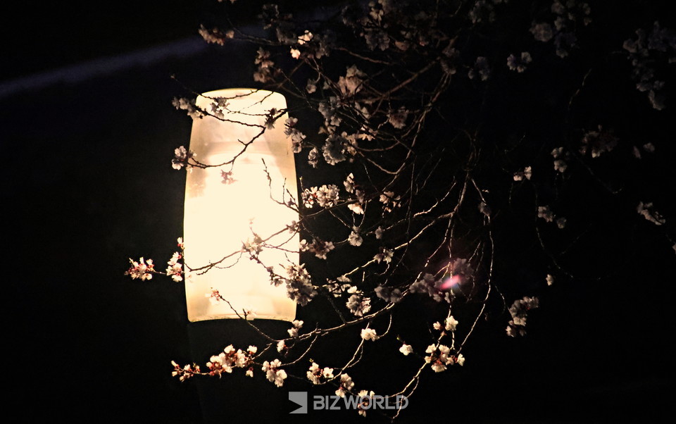 사진=손진석 기자