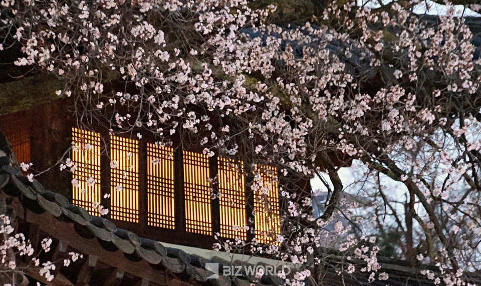 사진=손진석 기자