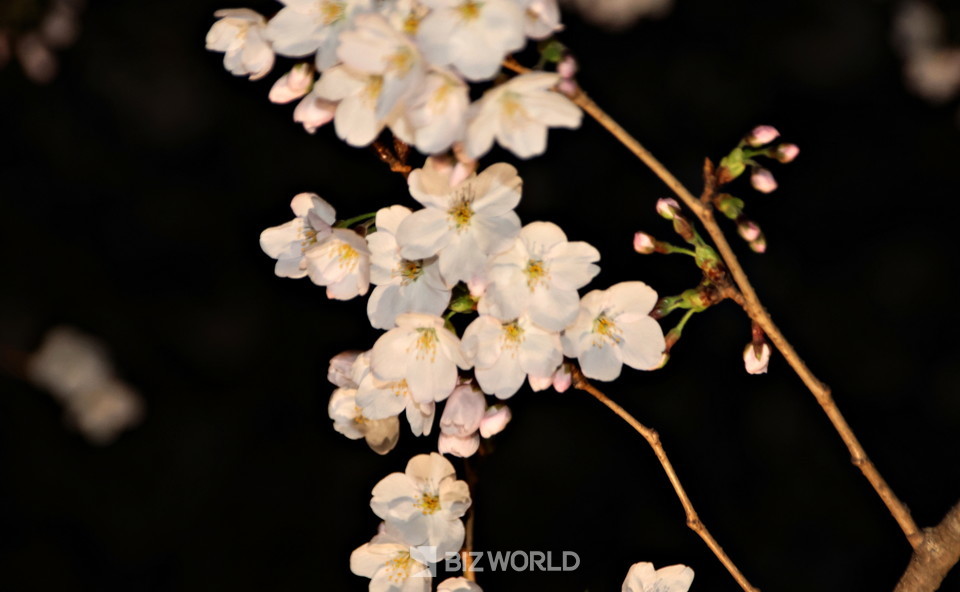 사진=손진석 기자