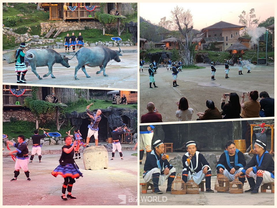 요족 전통 공연  중 소몰이(상단 왼쪽부터 시계방향), 화승총 발사, 새 잡이, 북춤. 사진=손진석 기자