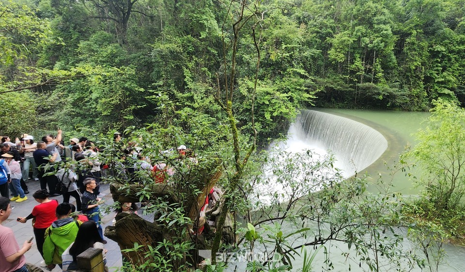와룡폭포에 많은 관광객이 사진 촬영을 하고 있다. 사진=손진석 기자