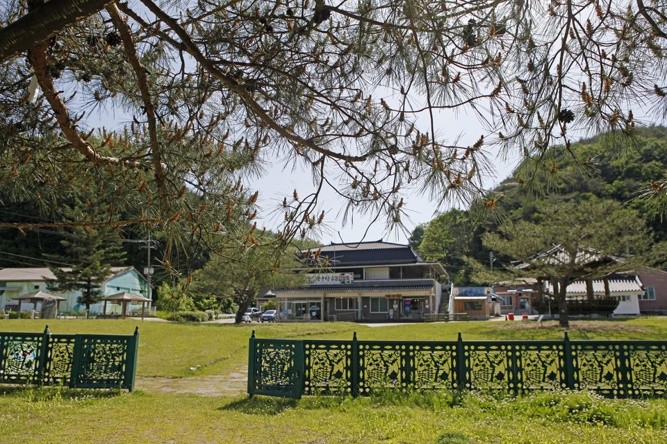 석송령에서 보이는 마을 일대가 석송령의 땅이다. 사진=박상준