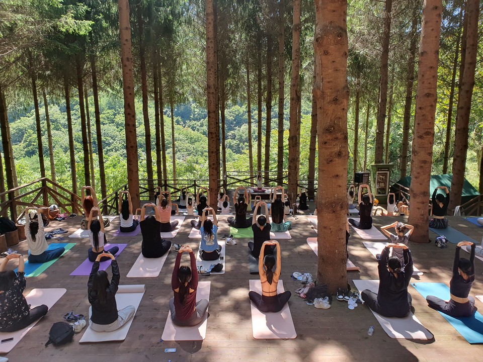  ㈜모나 용평이 청년 일경험 사업의 일환으로 ‘웰니스 컬리지(Wellness College)’ 참가자를 모집한다고 11일 밝혔다. 사진=모나 용평