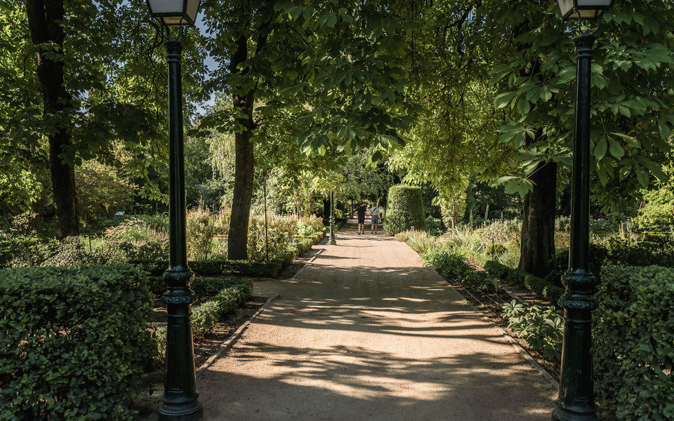 왕립 마드리드 식물원의 정원. 사진=마드리드관광청