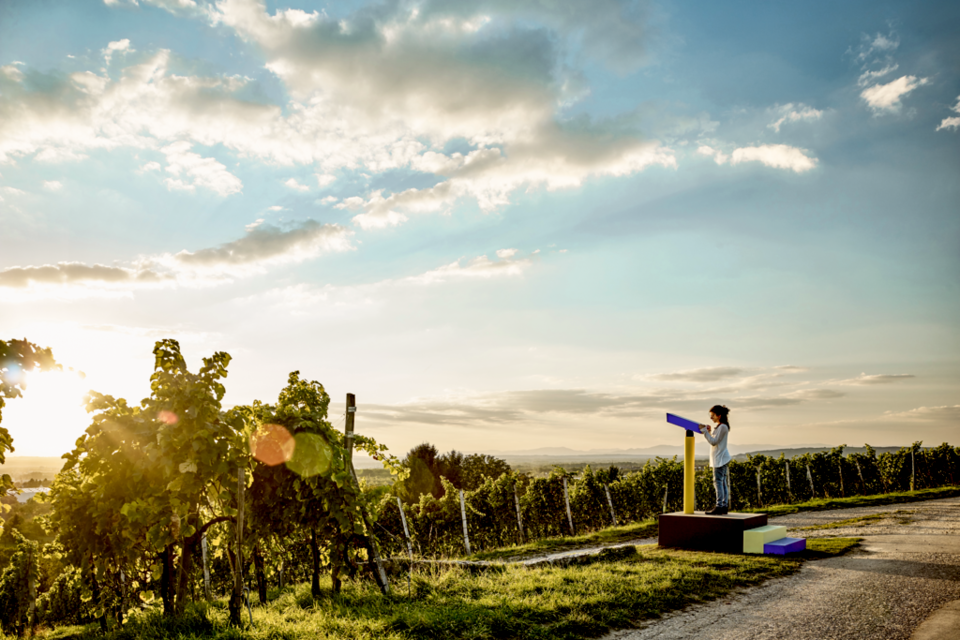 Basel vineyards theme trail. 사진=스위스정부관광청