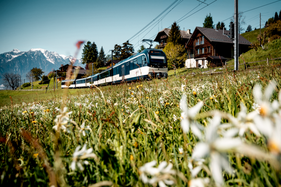Bernese Oberland GoldenPass Panoramic. 사진=스위스정부관광청