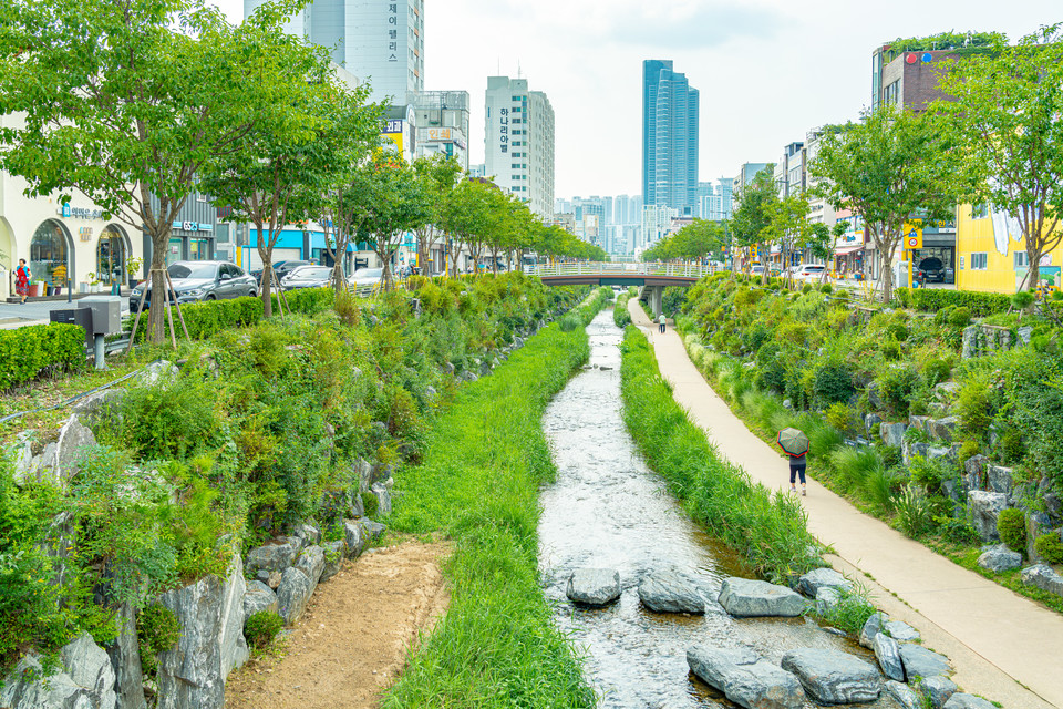 복개천을 생태하천으로 되돌린 심곡천은 열섬 현상을 막기도 한다. 사진=김정흠 작가