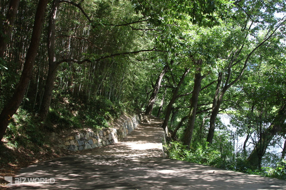 월영정로 가는 숲길. 사진=손진석 기자