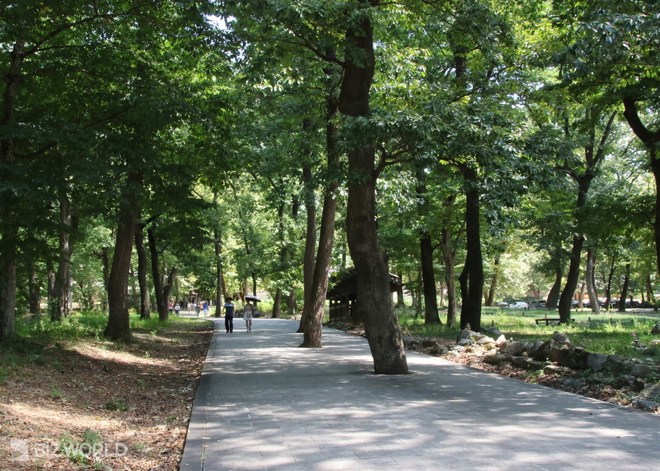 일주문을 넘어서면 표충사 현판이 있는 수충루가 나무 숲너머 멀리 보인다. 사진=손진석 기자