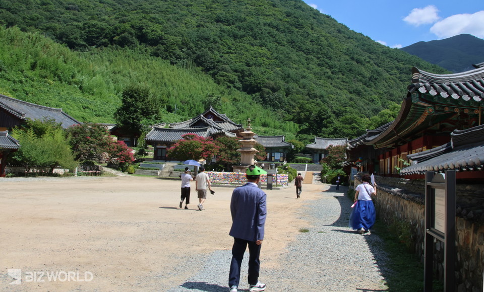 사천왕문을 지나면 표충사 삼층석탑 주위로 표충사 전각들이 배치되어 있다. 사진=손진석 기자