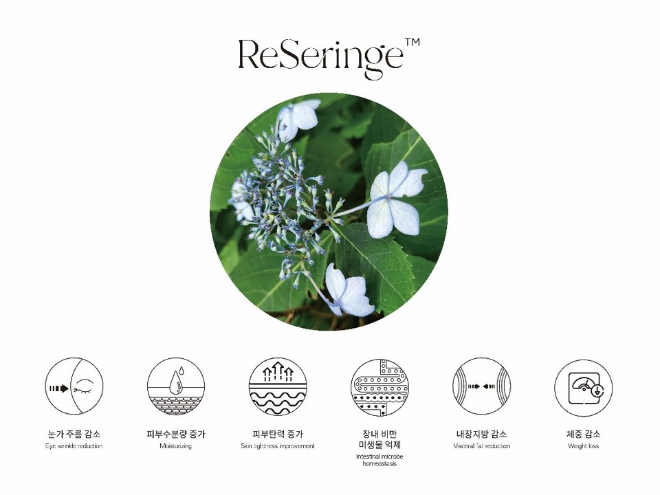 사진=코스맥스바이오