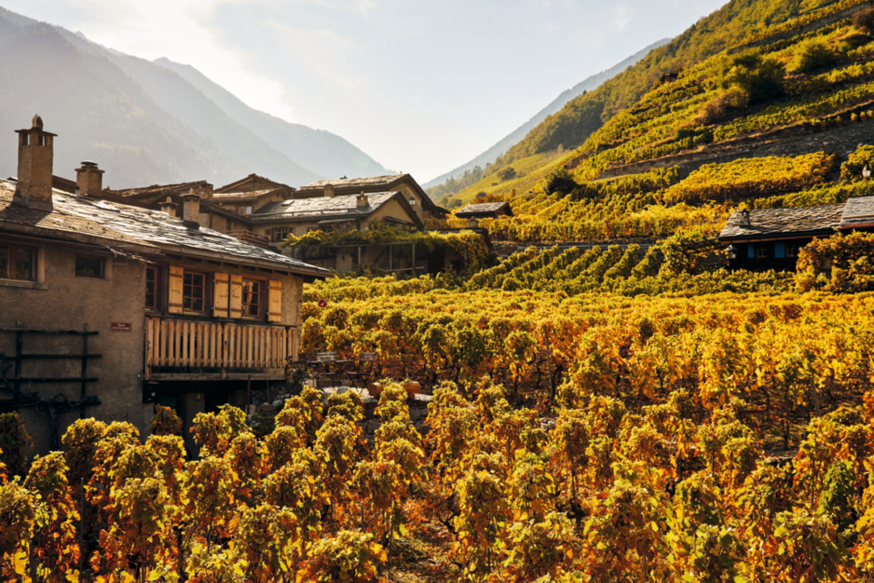 Martigny Combe wine region. 사진=스위스정부관광청