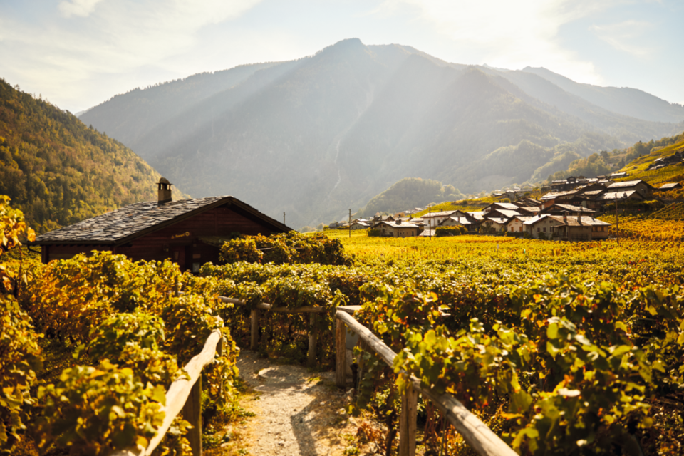 Martigny Combe viticulture. 사진=스위스정부관광청