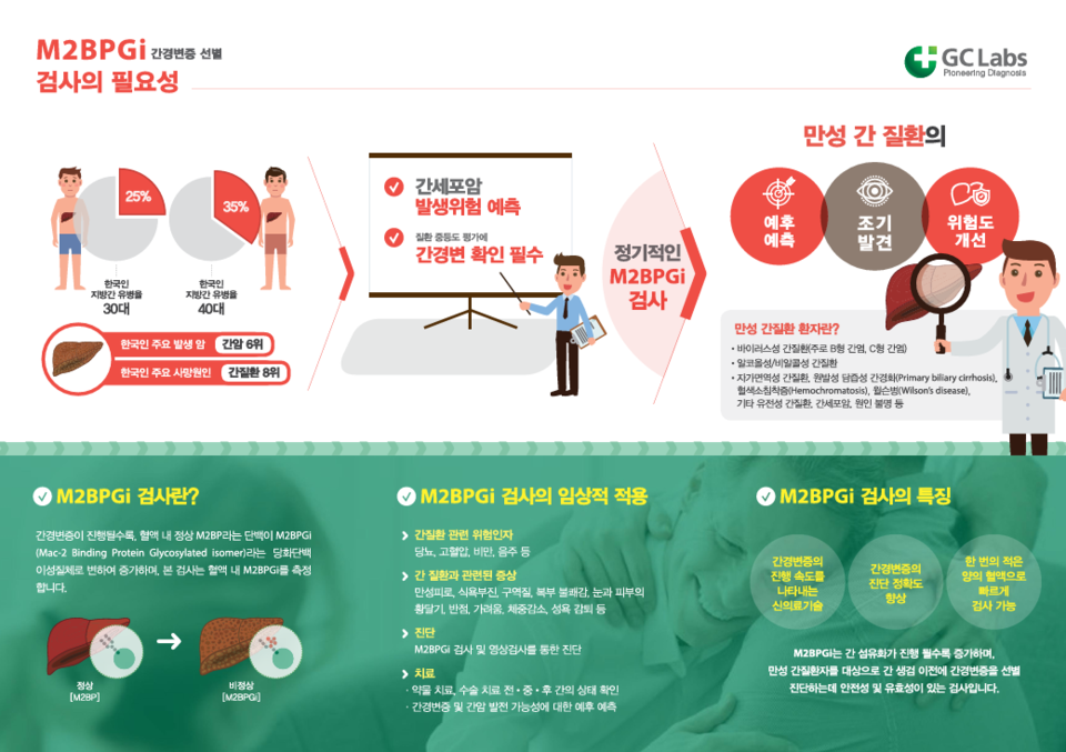 간경변증 선별검사(M2BPGi) 검사 설명. 사진=GC녹십자의료재단 홈페이지 내 '간경변증 선별검사' PDF 파일 캡처.
