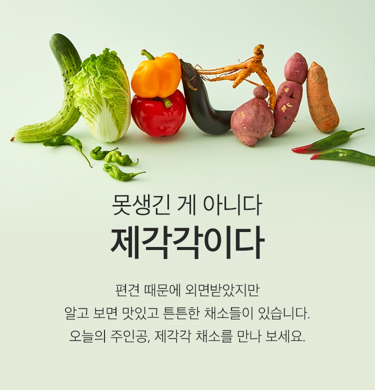 사진=컬리