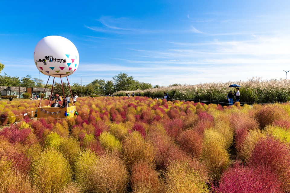 댑싸리 밭 가운데 있는 하늘공원 열기구 모형. 사진=서울관광재단