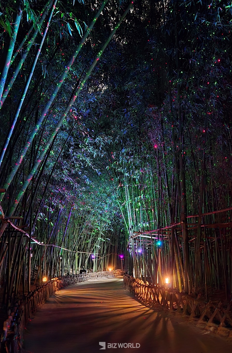 태화강 십리대숲에는 일몰시간이면 3색의 LED 조명이 켜져 마치 은하수가 내려앉은 듯해 관광객들과 울산 시민들의 명소로 자리잡았다. 사진=손진석 기자