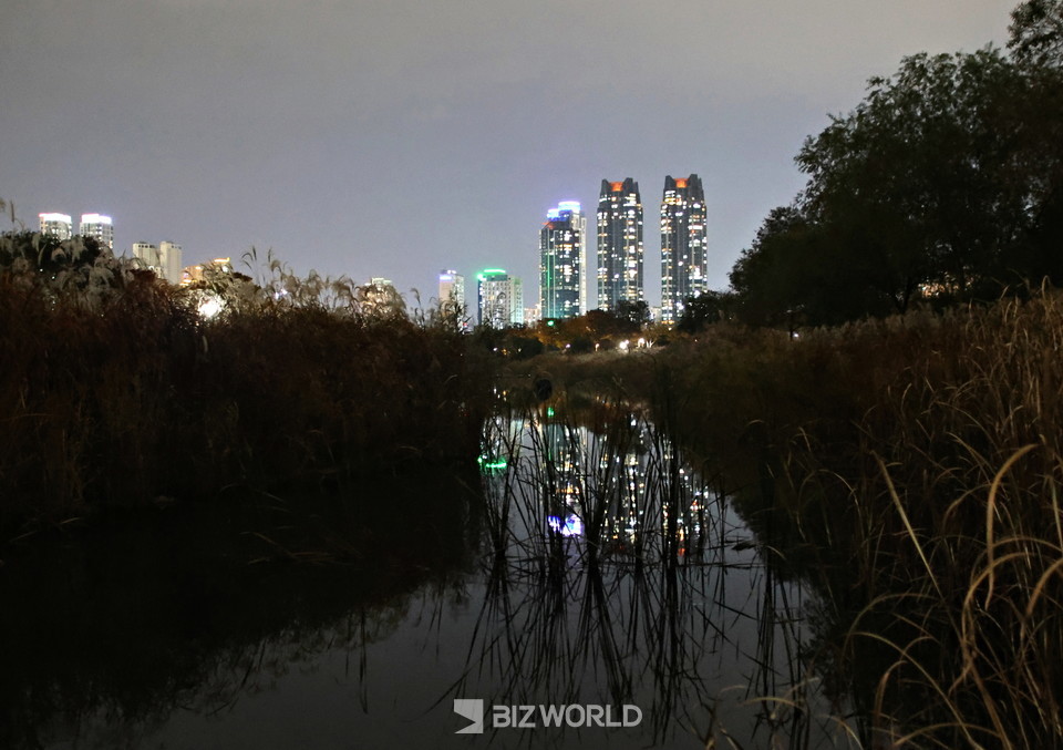 태화강 십리대숲 은하수길을 벗어나 공원 입구로 가는 길에 촬영한 야경. 사진=손진석 기자