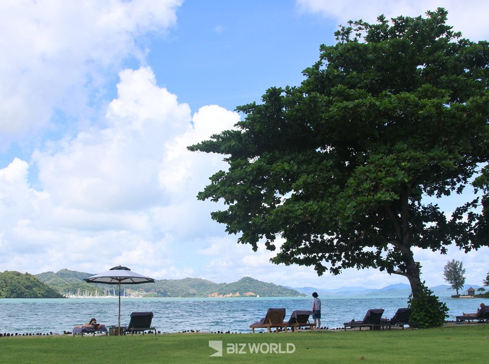 섬의 해변 나무 그늘에 있는 선베드에서 망중한을 즐기고 있는 고객들. 사진=손진석 기자