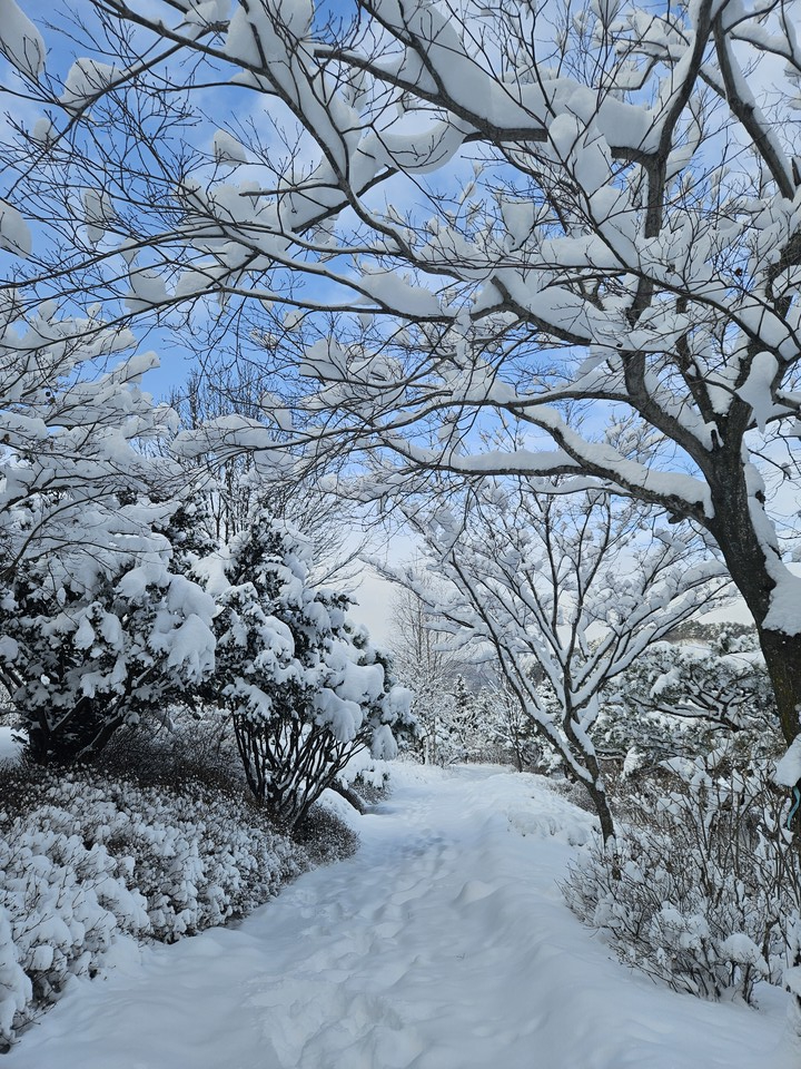 희귀식물원 겨울 전경._사진=국립한국자생식물원
