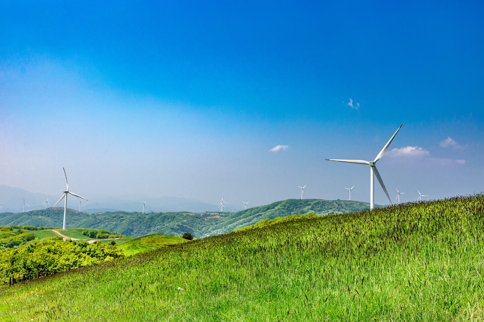 대관령 대관령삼양목장의 봄. 사진=평창군청