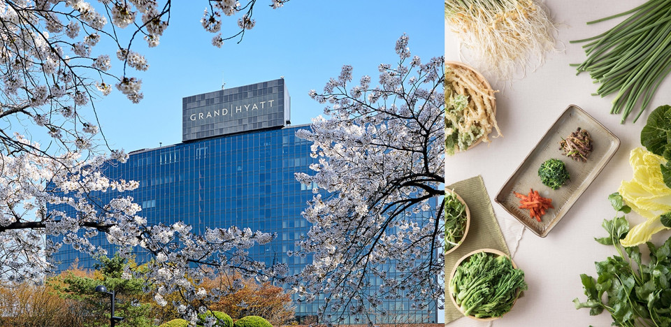 그랜드 하얏트 서울 더 테라스 뷔페 ‘봄나물 프로모션’. 사진=그랜드 하얏트 서울