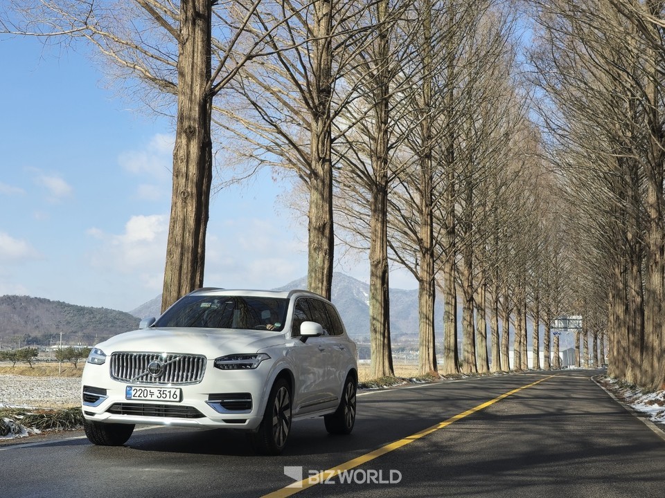볼보자동차 XC90이 순창 메타세콰이어 길을 달리고 있다. 사진=손진석 기자