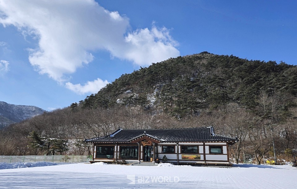 밤 새 눈이 내린 가온 카페 전경. 사진=손진석 기자