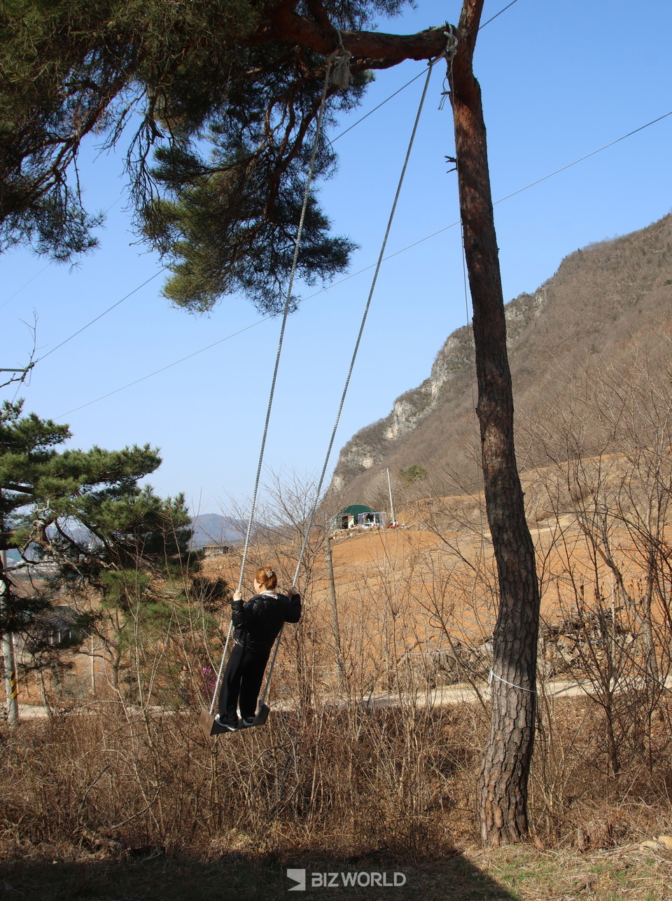 이동 중에 나무에 매어져 있는 그네를 관광객이 타고 있다. 사진=손진석 기자